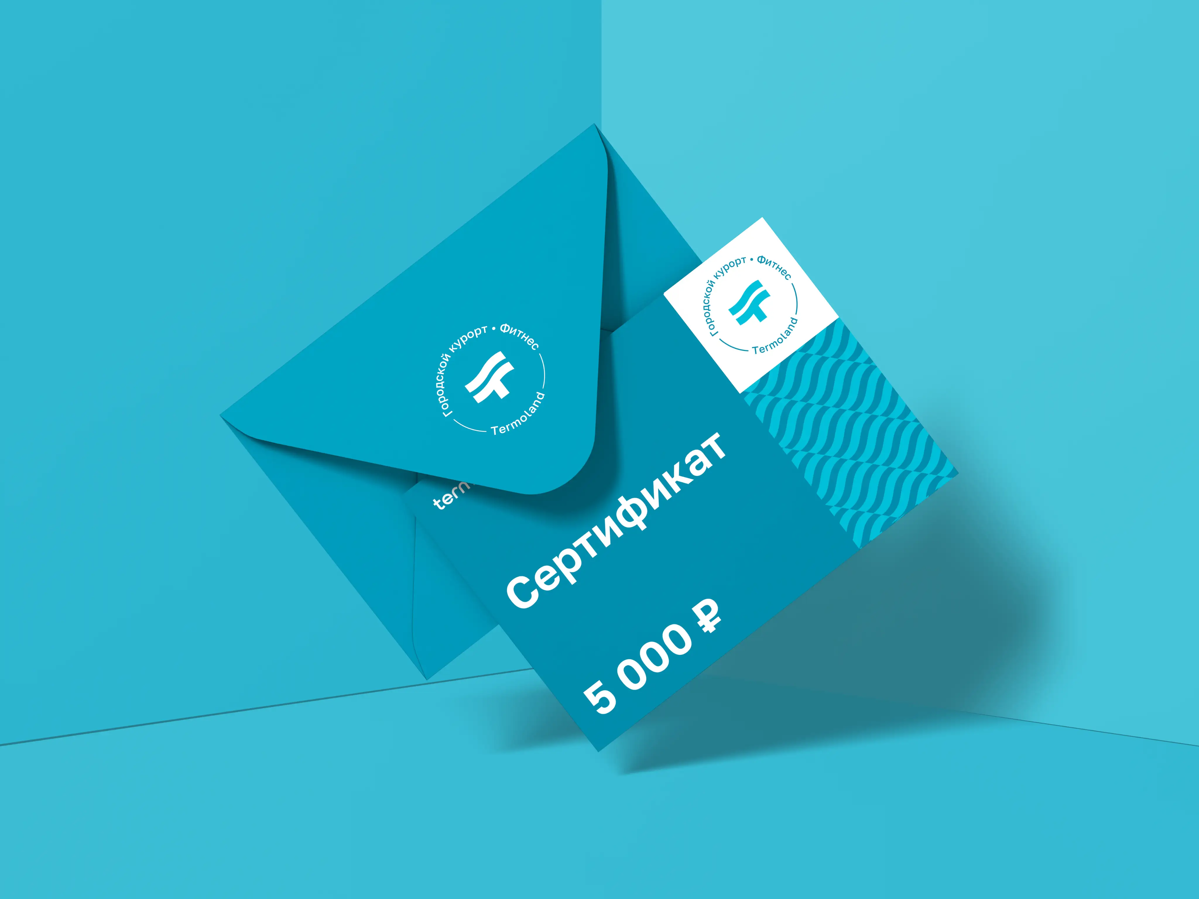 Изображение сертификата